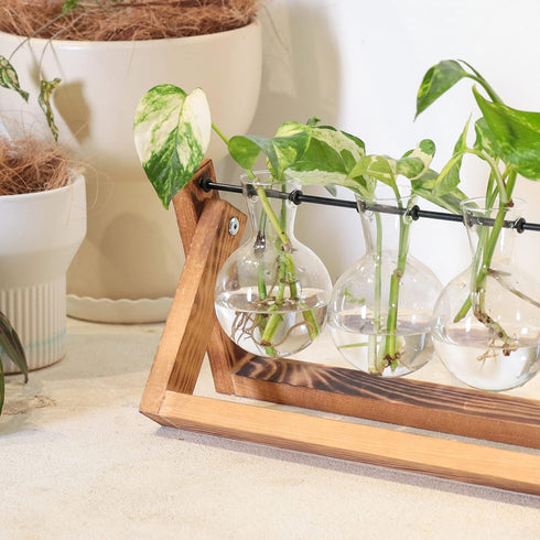 Glass Planter Bulb Vase with Retro Solid Wooden Stand and Metal Swivel Holder for Hydroponics Plants